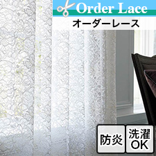 ڥ졼 翥ʪ륳MM3164 GOLDEN LILY MINOR(ǥ꡼ޥʡ) ꥢࡦꥹ