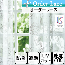 ڥ졼 翥ʪ륳MM3155 TRENT(ȥ)ꥢࡦꥹ