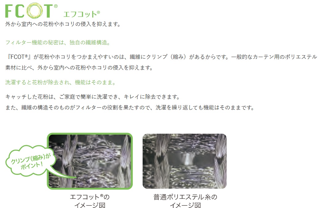 FCOT����ħ(��ʴ����å�)