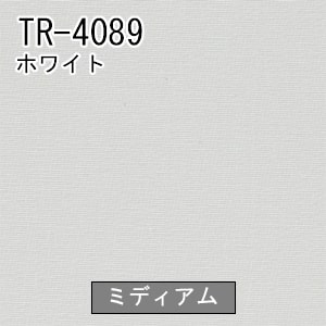 TOSO ロールスクリーン　トリアスプレーン　TR-4089　ホワイト2セット